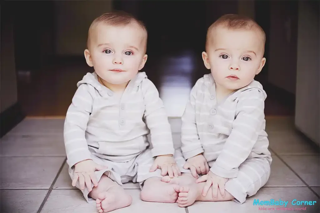 monozygotic twins baby